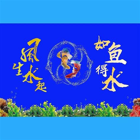 風生水起同義詞|風生水起的近義詞